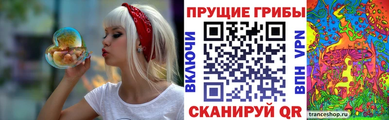 Псилоцибиновые грибы GOLDEN TEACHER  что такое   Гремячинск 